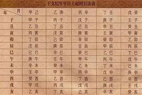 丙丁豬雞位|是什么意思 甲戊庚牛羊, 乙己鼠猴乡, 丙丁猪鸡位, 壬癸兔蛇藏, 庚。